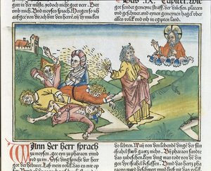 Wyjścia 9 8-12 Siedem plag egipskich: Mojżesz i plaga czyraków, z Biblii Norymberskiej (Biblia Sacra Germanaica) (kolorowy drzeworyt) autorstwa German School