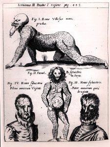 Włochaty człowiek i Dziki człowiek, ilustracja z Physica Curiosa autorstwa Gaspara Schotta (1608-66) autorstwa German School