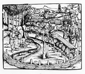 Wesołych mężów pasących pszczoły, ilustracja z Georgik Wergiliusza, księga IV, wyd. Sebastian Brants (1457-1521), wydanie 1502 autorstwa German School
