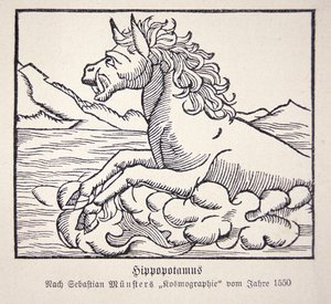 Hipopotam z „Cosmographie Universalis” Sebastiena Munstera autorstwa German School