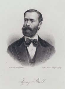Ignaz Brull, urodzony na Morawach austriacki pianista i kompozytor (grafika) autorstwa German School