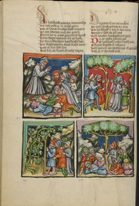 Iluminacje z Weltchronik Ms 33 fol. 135v, c.1400-10 (tempera, złota i srebrna farba, tusz na pergaminie) autorstwa German School