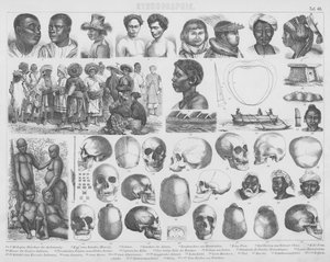 Ilustracja do Bilder-Atlas: Rasy i czaszki (grafika) autorstwa German School