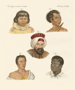 Ilustracja głównych ras ludzkich autorstwa German School