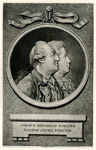 Johann Georg Forster autorstwa German School