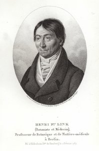 Johann Heinrich Friedrich Link autorstwa German School
