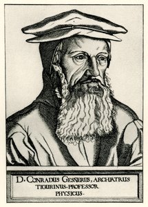 Konrad Gesner autorstwa German School