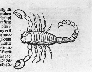 Le Scorpio - w Traktacie Johannesa Angelo O wielkich związkach lat i ich obrotach. Augsburg, Erhard Ratdolt autorstwa German School