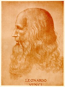 Leonardo da Vinci, 1884-90 (phototype) autorstwa German School