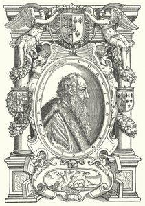 Ludovico Dolce, włoski pisarz, teoretyk malarstwa i humanista (grafika) autorstwa German School