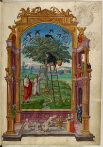 Ms Harley 3469, f.15 Złote drzewo z koroną, Inna przypowieść z „Splendor Solis” Salomona Trismosina autorstwa German School