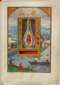 Ms Harley 3469, f.29 Młody król w kolbie, Czwarty Traktat, z „Splendor Solis” Salomona Trismosina autorstwa German School