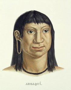 Rodowity człowiek z plemienia Aroaqui, z Atlas of a Journey in Brazil autorstwa Johanna Baptist von Spix (1781-1826) i Karla Friedricha Philippa Martiusa (1794-1868), opublikowany ok. 1835-50 autorstwa German School
