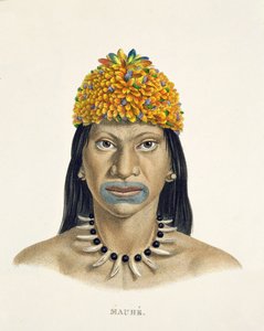 Rodowity człowiek z plemienia Mauhe, z nakryciem głowy z małych niebieskich i pomarańczowych piór, z Atlasu podróży po Brazylii Johanna Baptist von Spix (1781-1826) i Karla Friedricha Philippa Martiusa (1794-1868) autorstwa German School