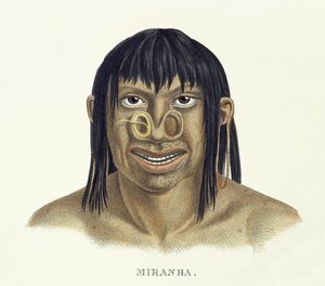 Rodowity człowiek z plemienia Miranha, z dekoracją na nosie, z Atlasu podróży po Brazylii Johanna Baptist von Spix (1781-1826) i Karla Friedricha Philippa Martiusa (1794-1868), wydanego ok. 1835-50 (kol. autorstwa German School