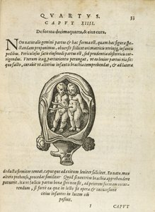 Nieidentyczne bliźnięta w łonie matki, ilustracja z rozdziału 14, księga 4 O poczęciu i rozwoju człowieka Rueffa, 1587 autorstwa German School
