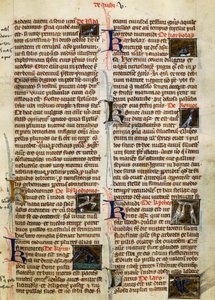 Strona z De Natura Rerum o ptakach, Albertus Magnus (około 1200-1280) autorstwa German School
