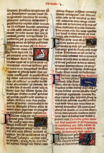 Strona z De Natura Rerum o ptakach, Albertus Magnus (około 1200-1280) autorstwa German School