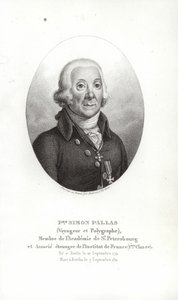 Piotr Szymon Pallas autorstwa German School