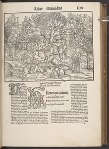 Dzieła Publiusa Virgiliusa Maronisa..., Argentorati C. LXIr autorstwa German School