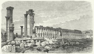 Ruiny miasta Palmyra, Syria (rycina) autorstwa German School