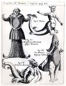 Morskie potwory, ilustracja z Physica Curiosa autorstwa Gaspara Schotta S.J. (1608-66), wydany Würzburg 1662 autorstwa German School