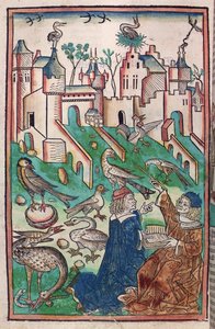 Ptaki i stworzenia z powietrza, ilustracja z „Hortus Sanitatis” („Ogród Zdrowia”) 1491 (kolorowy drzeworyt) autorstwa German School