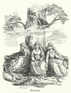 Norny, żeńskie istoty z mitologii nordyckiej (rycina) autorstwa German School