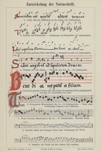 Ewolucja notacji muzycznej (litografia kolorowa) autorstwa German School