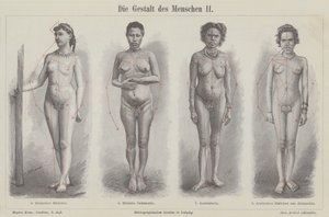 Postać ludzka (rycina) autorstwa German School