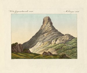 Skuir na Wyspie Jaj (kolorowy grawerunek) autorstwa German School