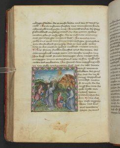 Ulrich von Pottenstein, The Book of Natural Wisdom, Egerton MS 1121 f.114v, ok. 1430 (atrament i kolor na pergaminie) autorstwa German School
