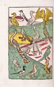 Różne gatunki ptaków w krajobrazie, 1499 autorstwa German School