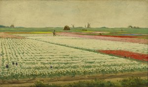 Pola tulipanów