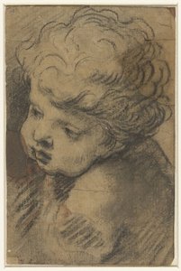 Szef putto autorstwa Giacomo Cavedone (attributed to)