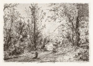 Las nad Lago Maggiore [Las nad jeziorem Maggiore] autorstwa Giberto Borromeo