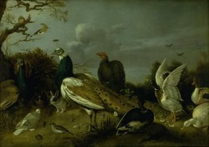 Pawie, Kaczki i inne Zwierzęta autorstwa Gijsbert Gillisz. de Hondecoeter
