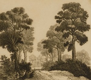 Krajobraz autorstwa Gillis Neyts