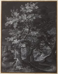 Scena leśna autorstwa Gillis van Coninxloo
