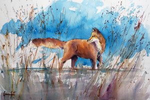 Alert Fox w Reeds autorstwa Giorgio Gosti