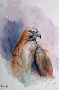 Majestatyczny jastrząb w akwareli