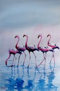 Różowe flamingi brodzące autorstwa Giorgio Gosti