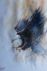 Potężny lot orła autorstwa Giorgio Gosti