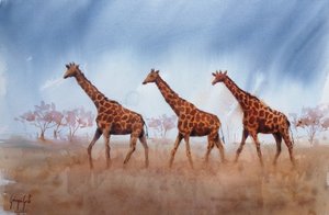 Trio żyraf z serii Safari autorstwa Giorgio Gosti