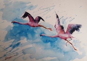 Barwny lot flamingów autorstwa Giorgio Gosti