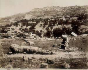 Agrigento: widok na ruiny świątyni Jowisza autorstwa Giorgio Sommer