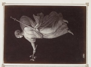  autorstwa Giorgio Sommer