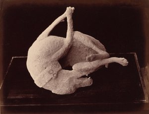 Odlew, Pompeje, ok. 1870 (zdjęcie) autorstwa Giorgio Sommer