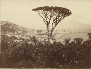 autorstwa Giorgio Sommer