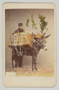  autorstwa Giorgio Sommer